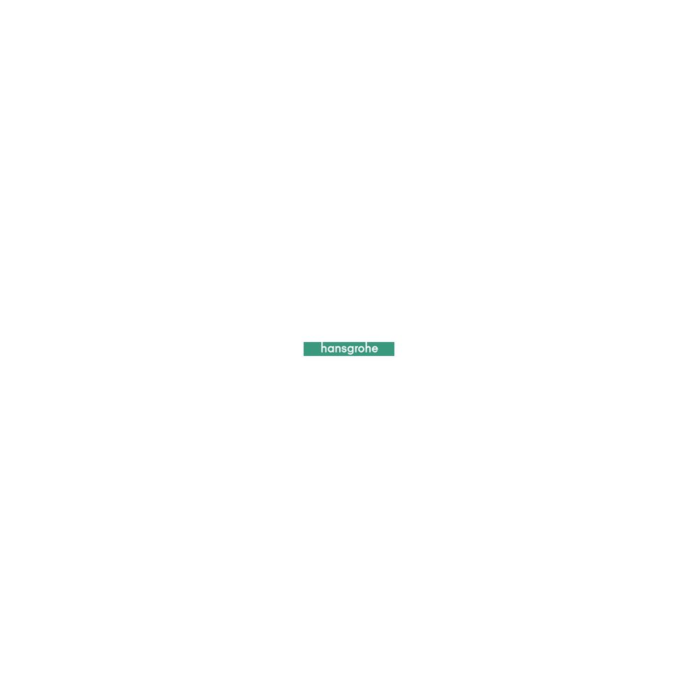 hansgrohe HG Strahleinsatz-92125000