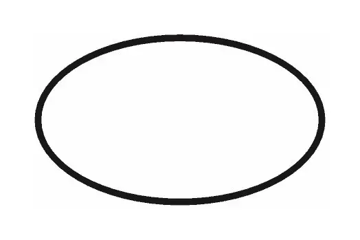 hansgrohe O-Ring 36 x 2 mm-98156000